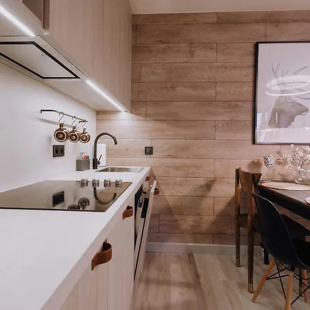 Diament Mozaika W Centrum Z Balkonem Закопане